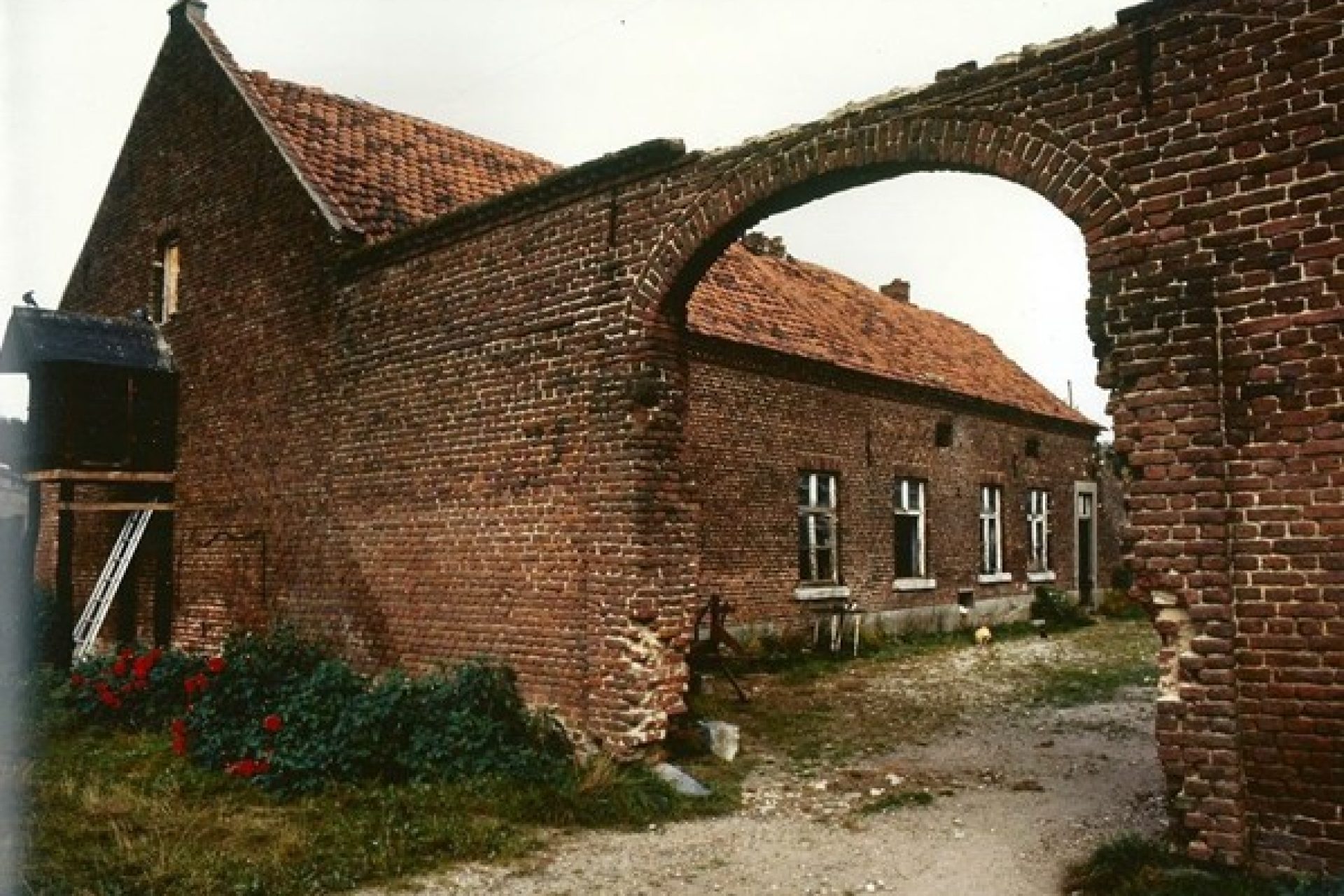 Afbeelding8